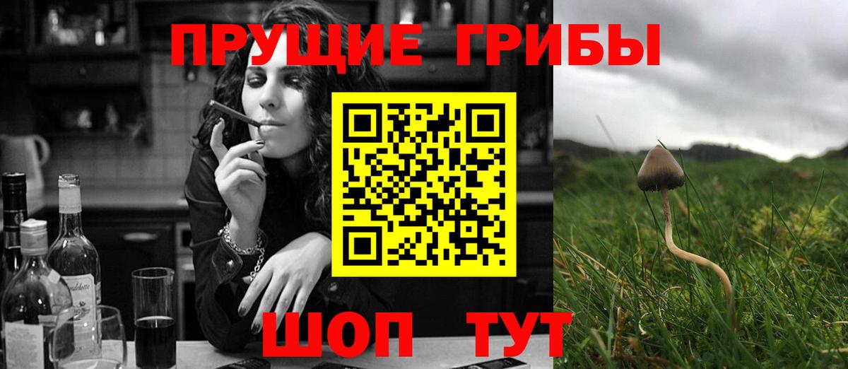 купить   Псилоцибиновые грибы GOLDEN TEACHER  Вход с VPN  Галлюциногенные грибы Psilocybe  Киреевск 